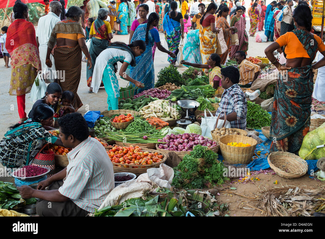 The Loud India
