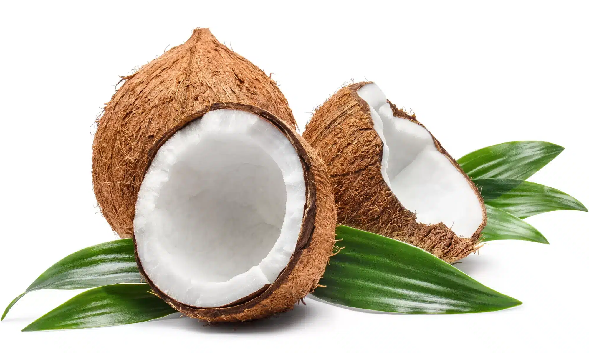 Coconut chunks