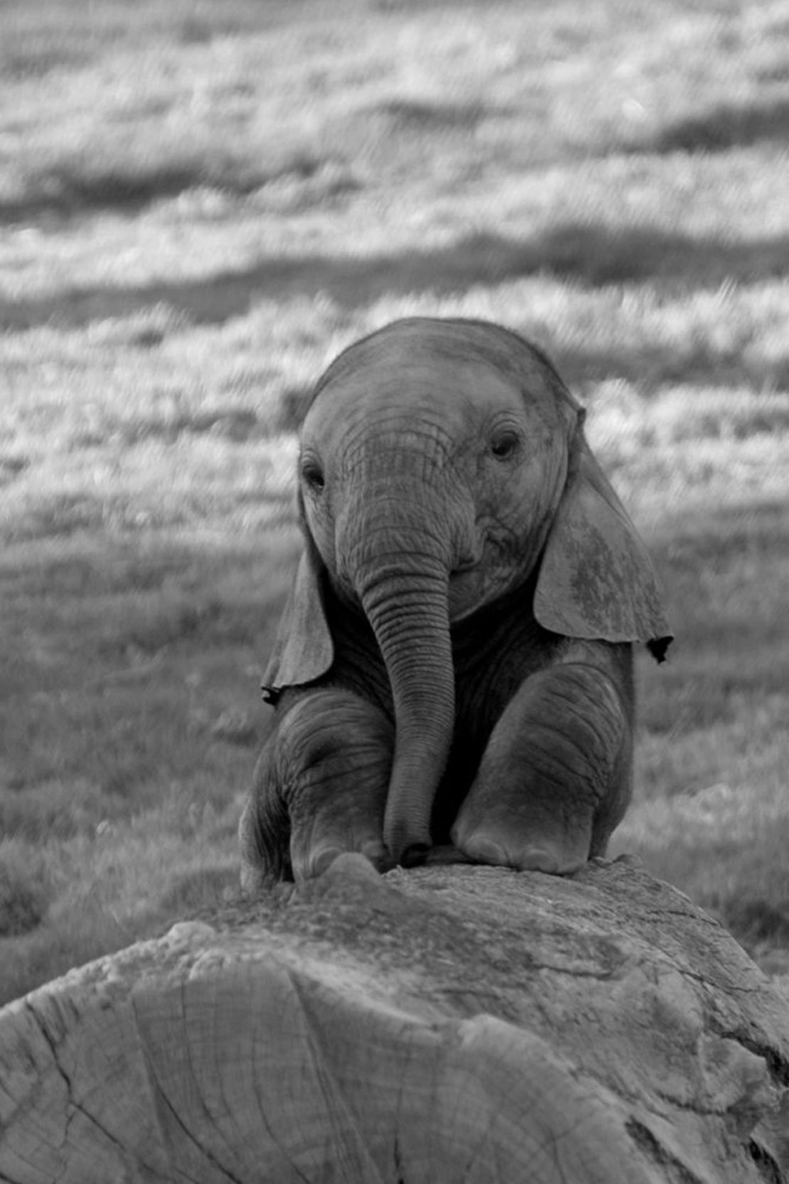 Create Postgres Pod